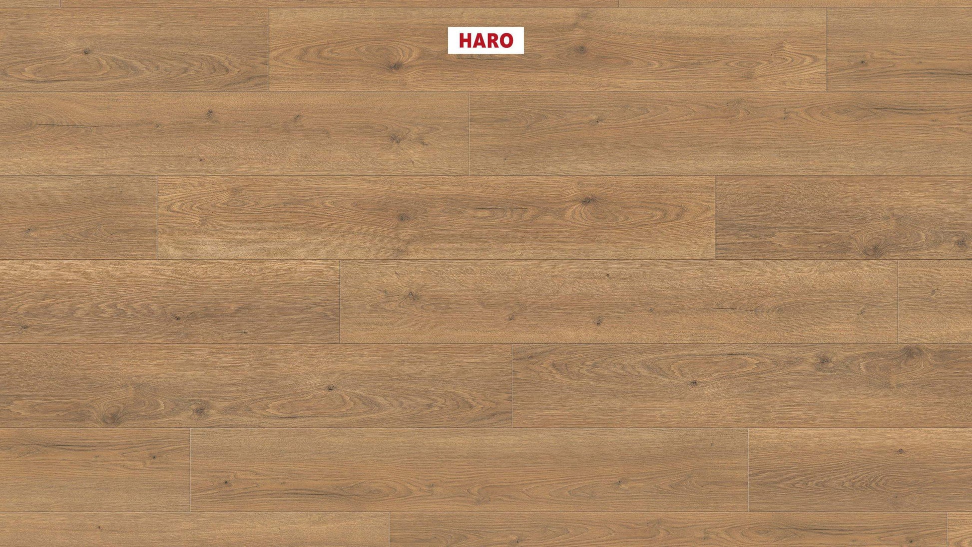 HARO Laminatboden TRITTY 100 Landhausdiele 4V Eiche Flavia natur* authentic Silent CT Top Connect