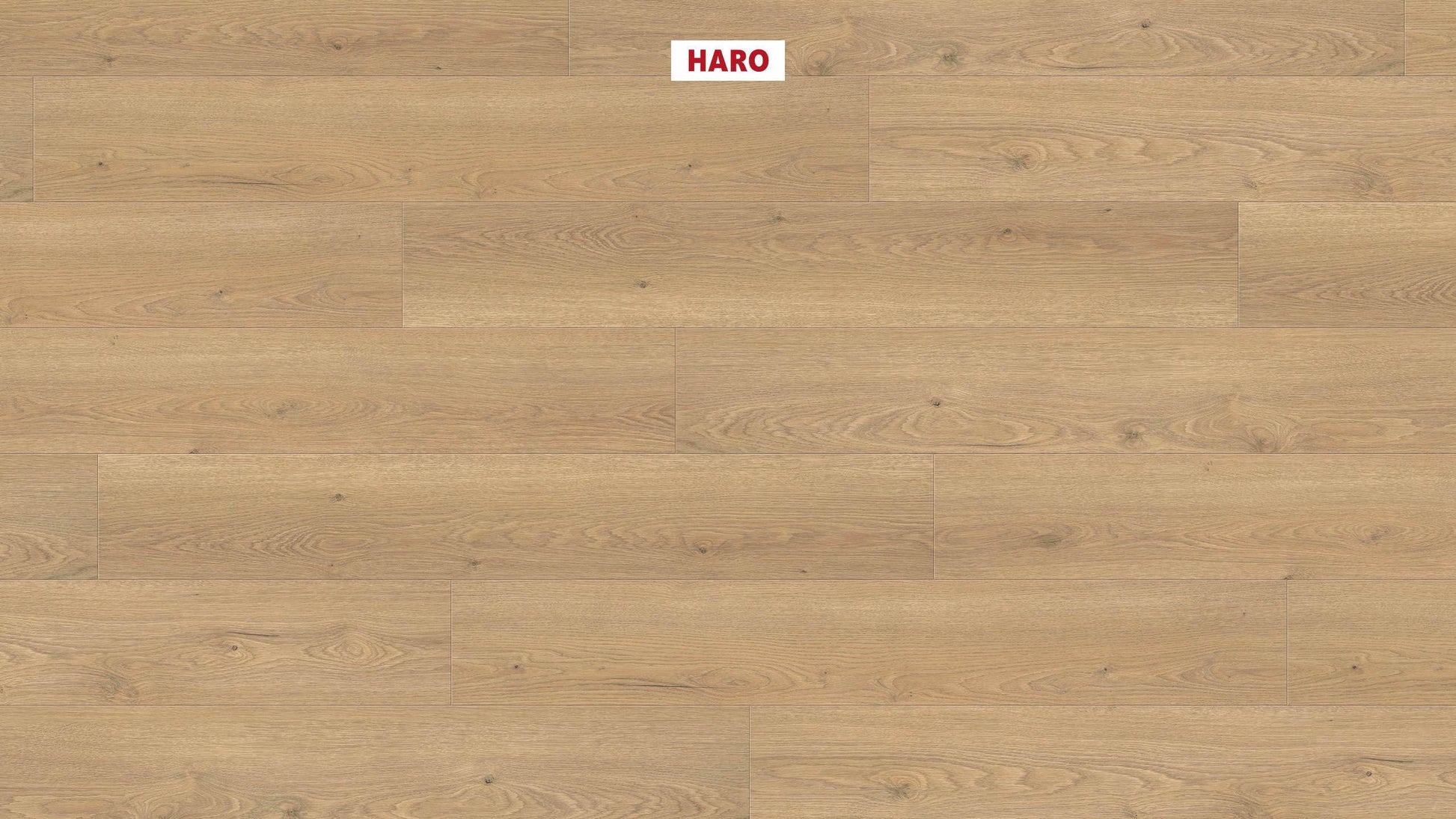 HARO Laminatboden TRITTY 100 Landhausdiele 4V Eiche Flavia puro* authentic Silent CT Top Connect