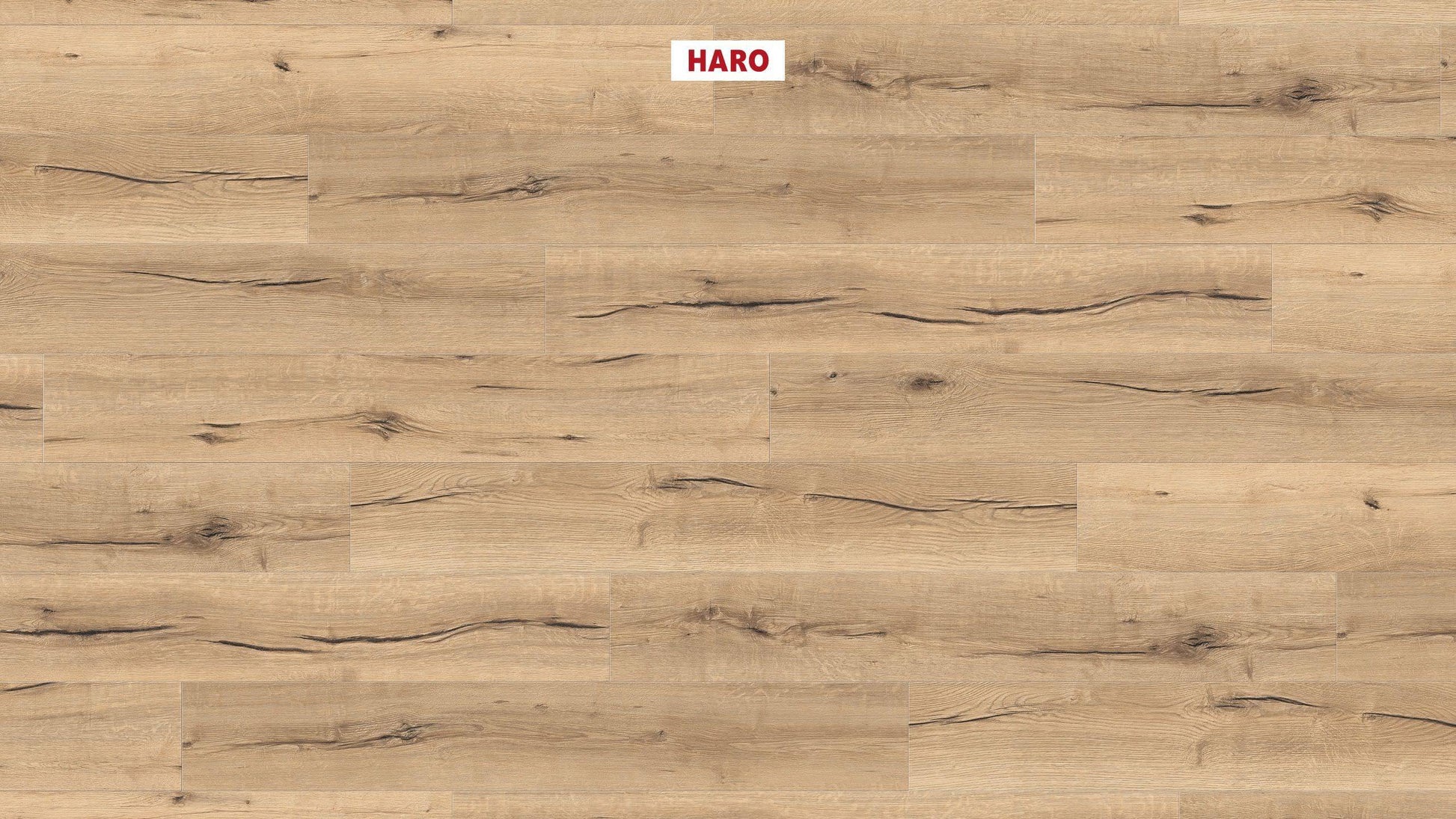 HARO Laminatboden TRITTY 100 Landhausdiele 4V Eiche italica creme* authentic Silent CT Top Connect