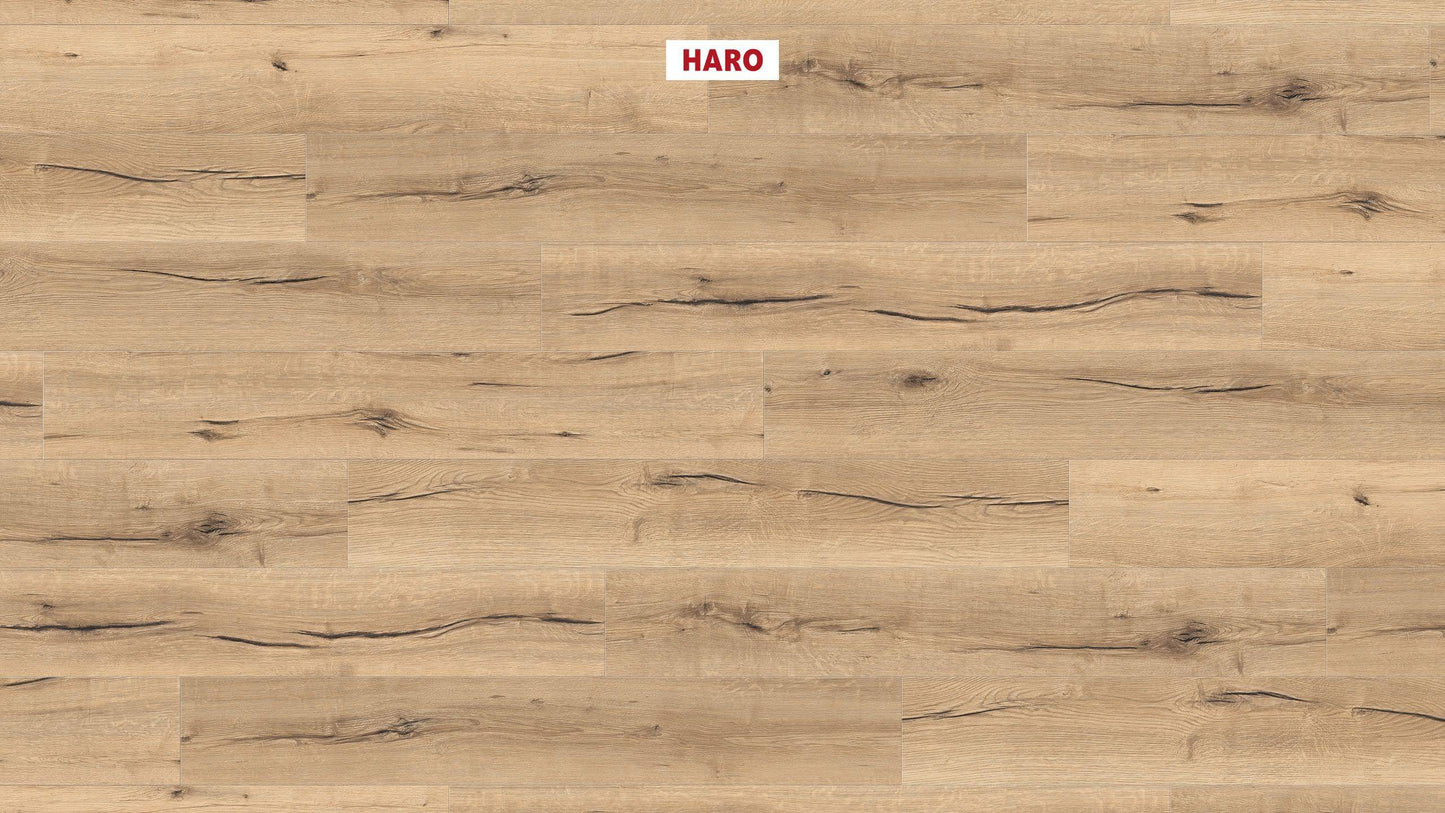 HARO Laminatboden TRITTY 100 Landhausdiele 4V Eiche italica creme* authentic Silent Pro Top Connect