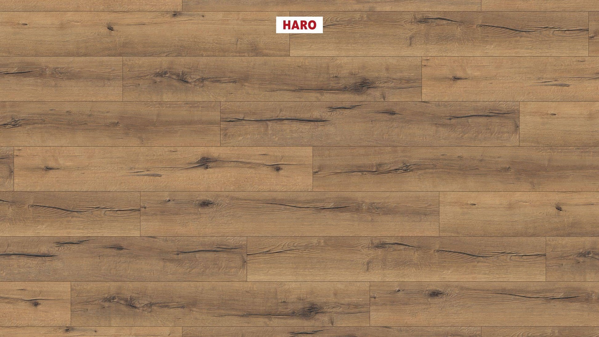 HARO Laminatboden TRITTY 100 Landhausdiele 4V Eiche italica natur* authentic Silent Pro Top Connect