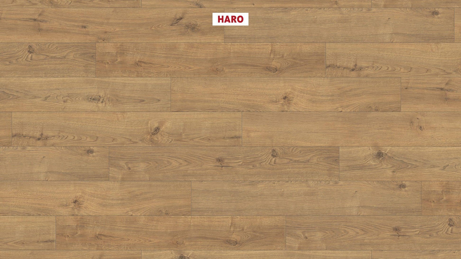 HARO Laminatboden TRITTY 100 Landhausdiele 4V Eiche Portland natur* authentic Silent Pro Top Connect