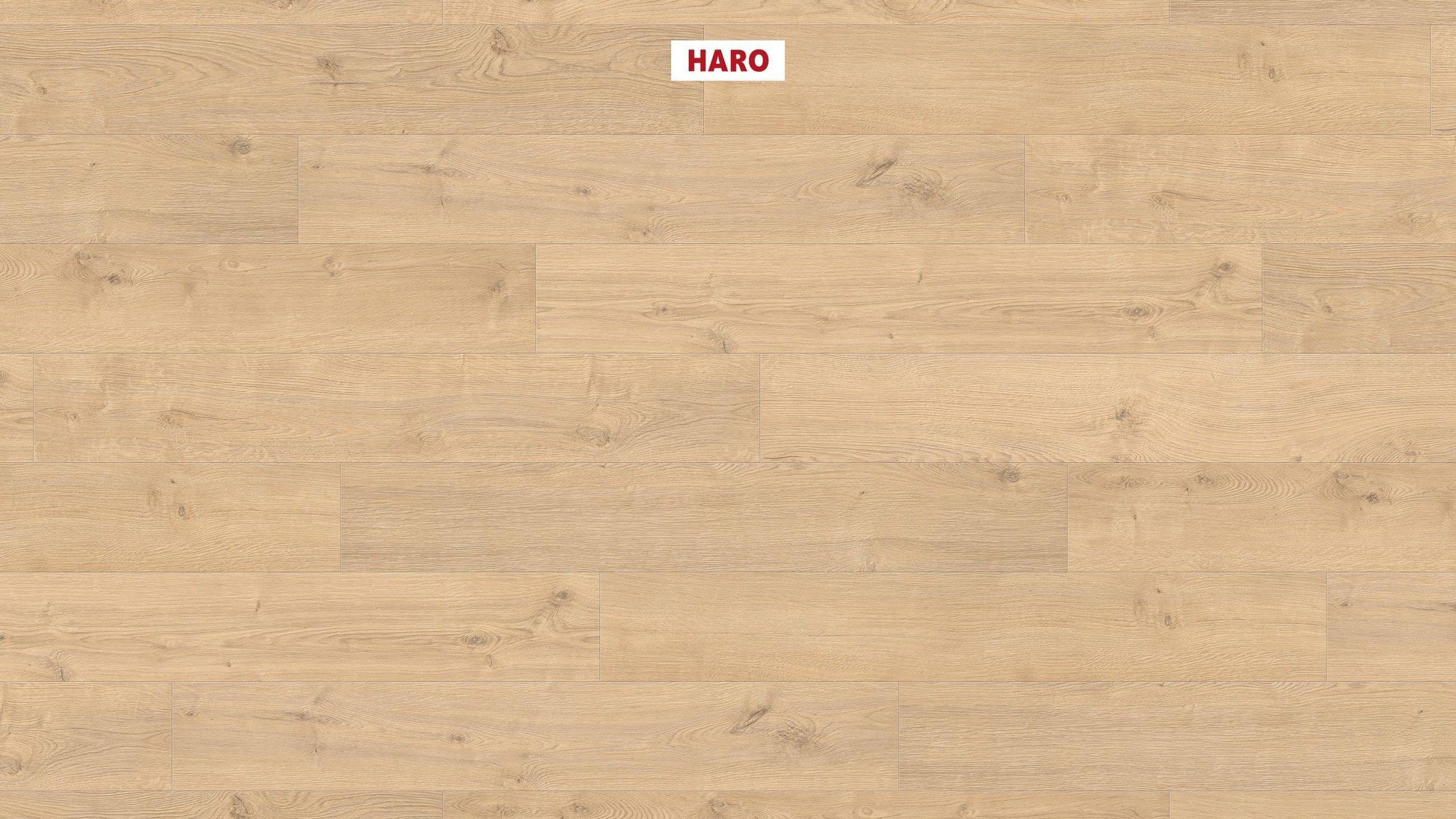 HARO Laminatboden TRITTY 100 Landhausdiele 4V Eiche Portland puro* authentic Silent CT Top Connect
