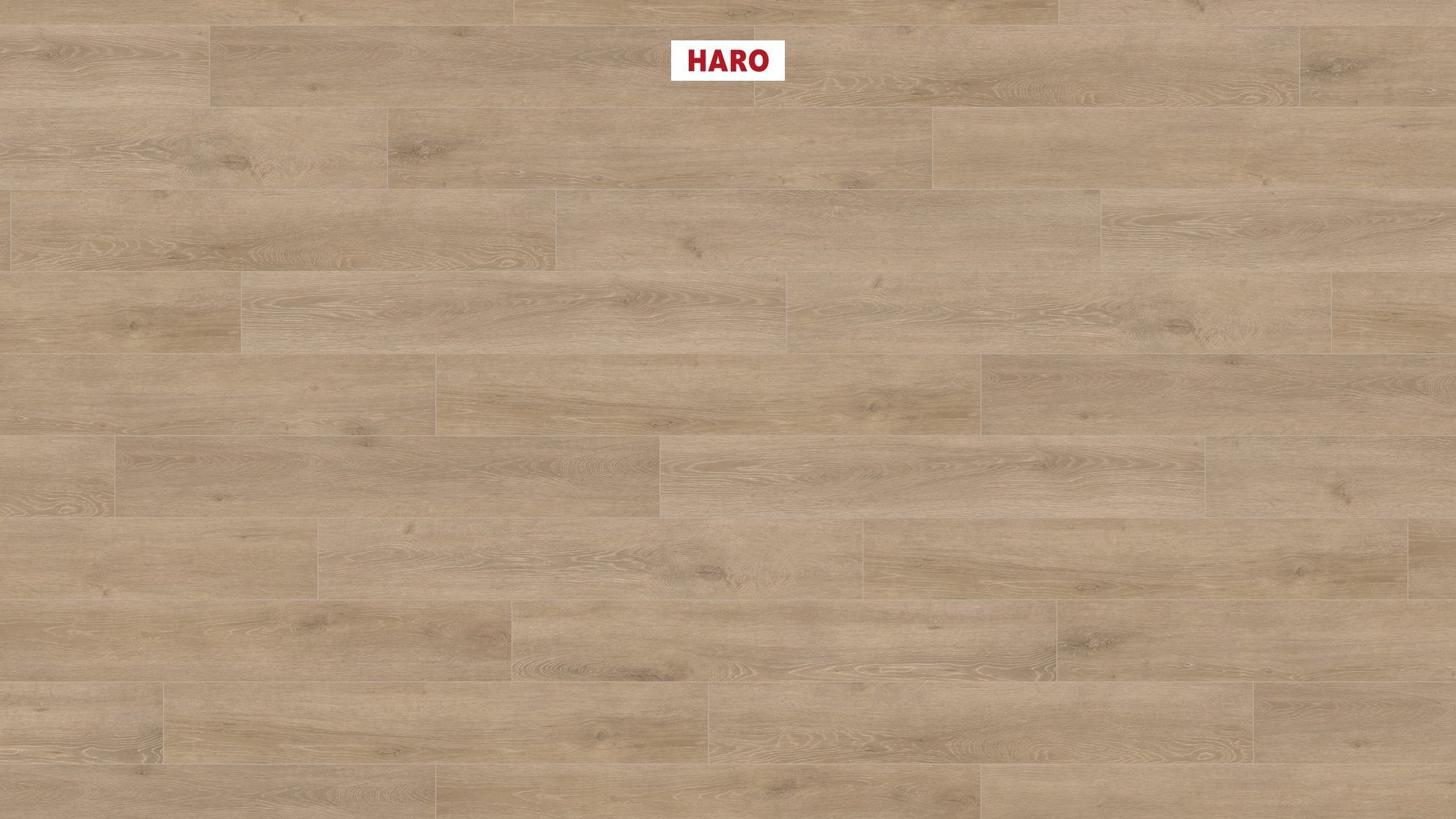 HARO Laminatboden TRITTY 100 Landhausdiele 4V Eiche Veneto crema* authentic matt Silent CT Top Connect