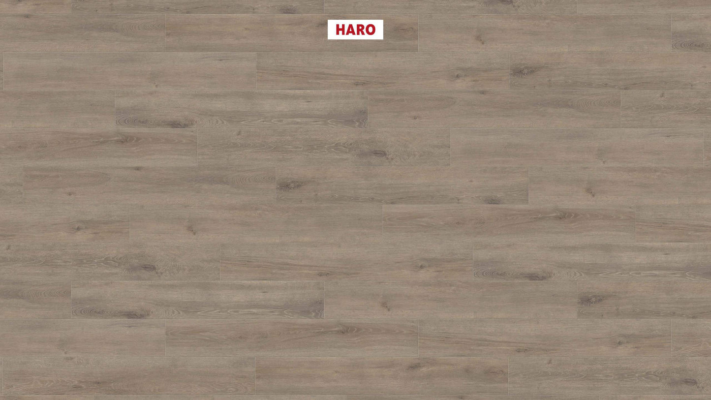 HARO Laminatboden TRITTY 100 Landhausdiele 4V Eiche Veneto mocca* authentic matt Silent Pro Top Connect