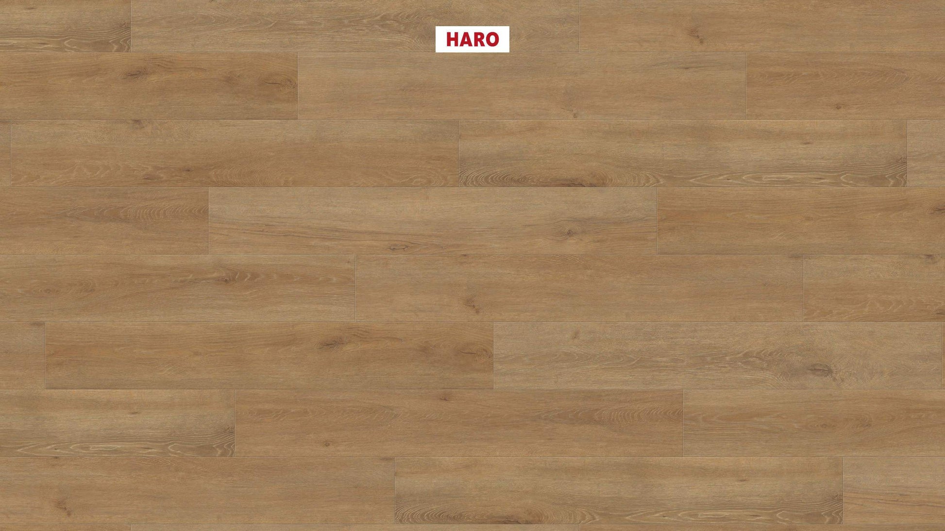 HARO Laminatboden TRITTY 100 Landhausdiele 4V Eiche Veneto natur* authentic matt Silent CT Top Connect