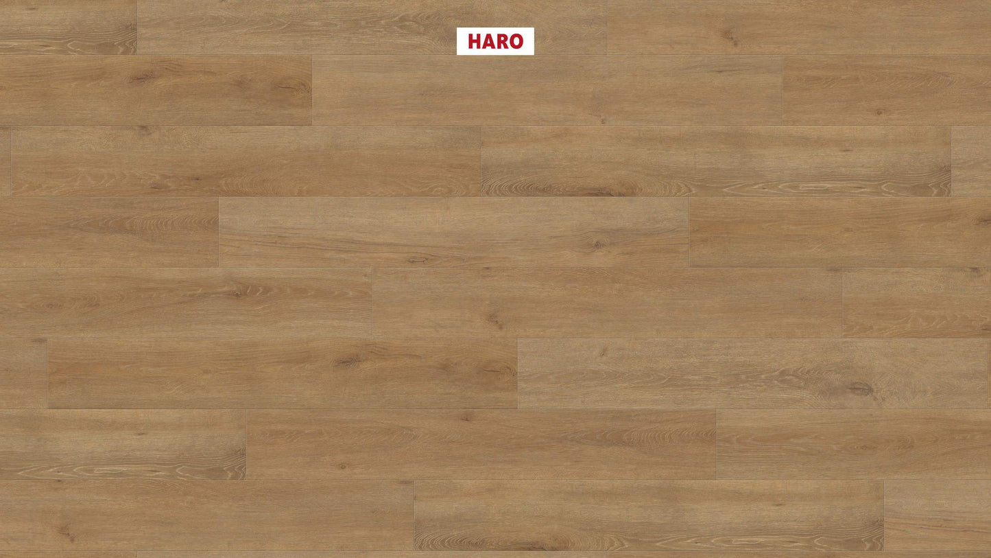 HARO Laminatboden TRITTY 100 Landhausdiele 4V Eiche Veneto natur* authentic matt Top Connect