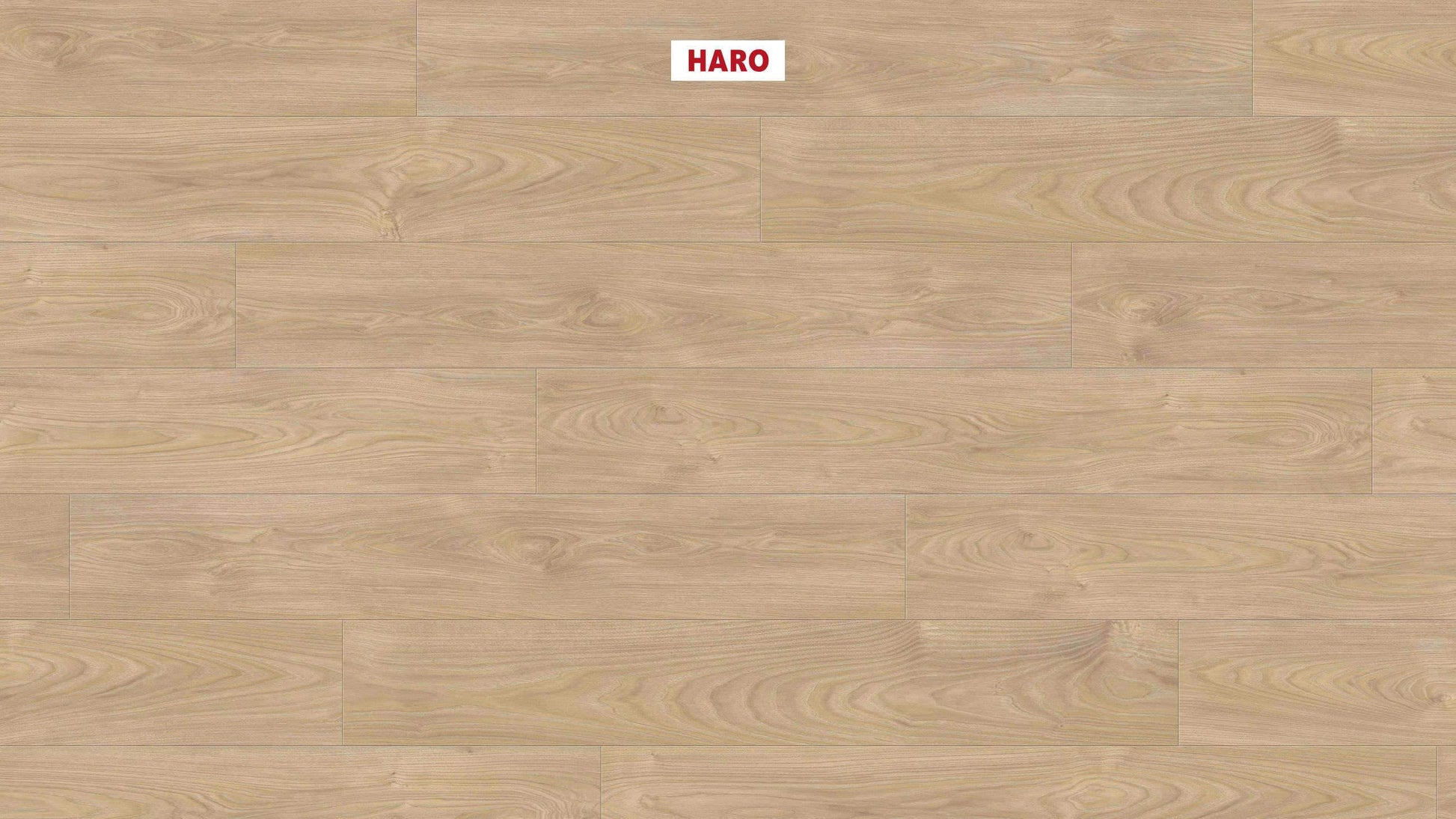 HARO Laminatboden TRITTY 100 Landhausdiele 4V Silberahorn Vario* authentic soft Silent CT Top Connect