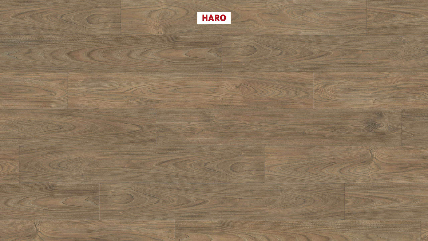 HARO Laminatboden TRITTY 100 Landhausdiele 4V Ulme Vario* authentic soft Silent CT Top Connect