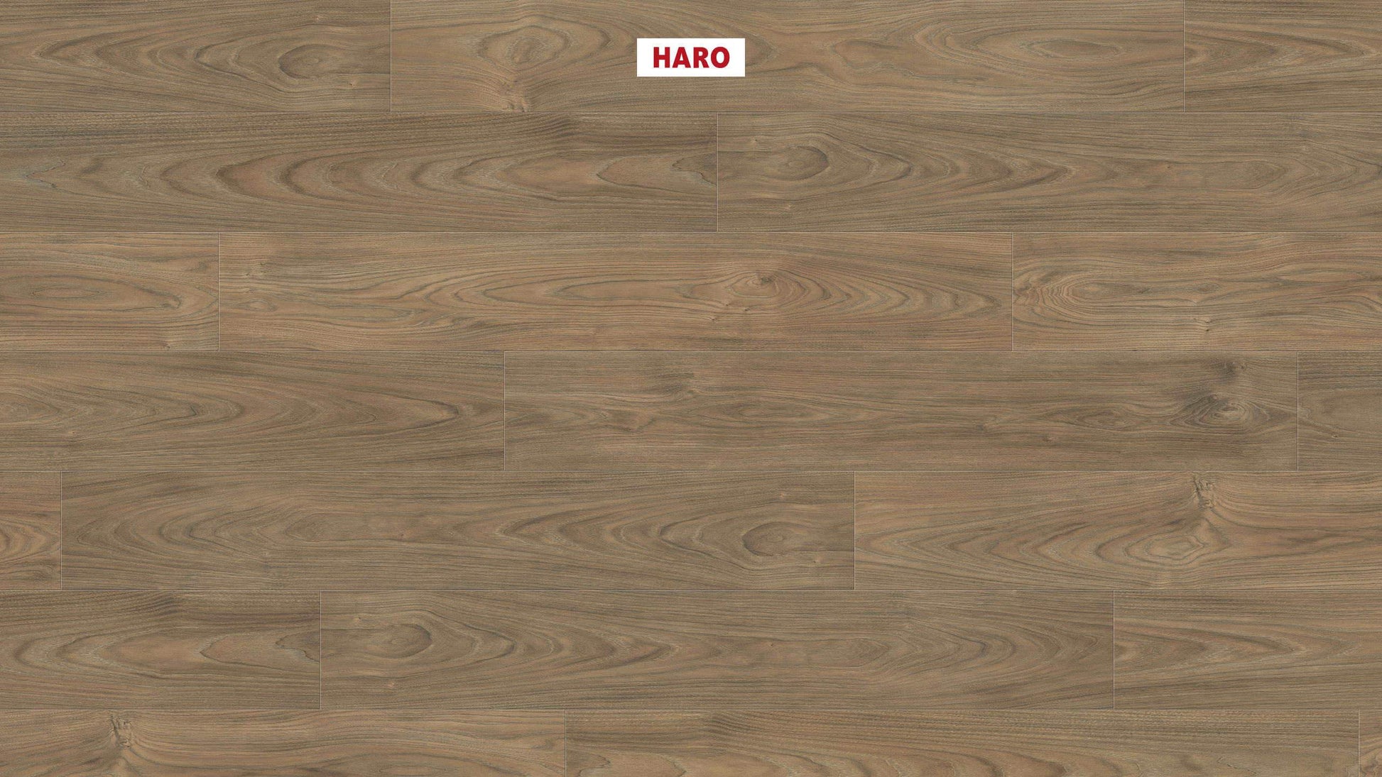 HARO Laminatboden TRITTY 100 Landhausdiele 4V Ulme Vario* authentic soft Silent Pro Top Connect