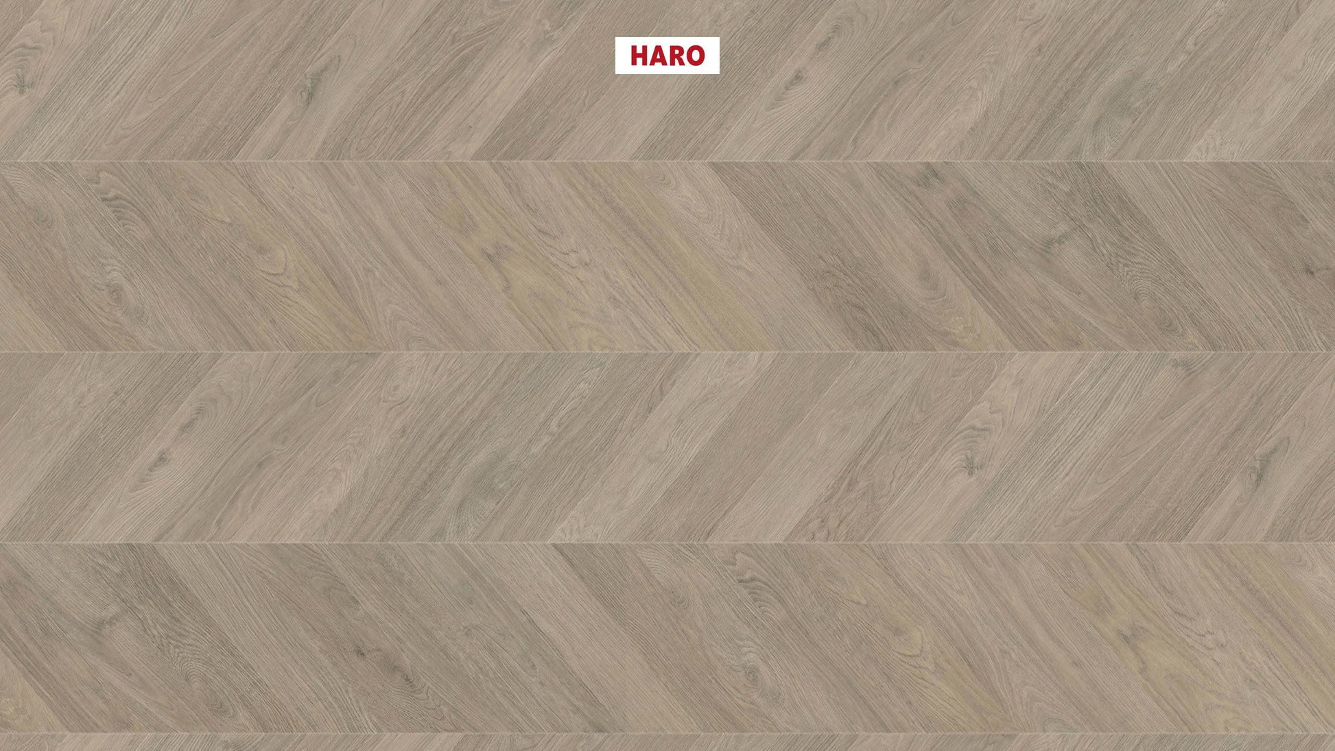 HARO Laminatboden TRITTY 200 Aqua Chevron 4VM Eiche grau* authentic Lock Connect plus