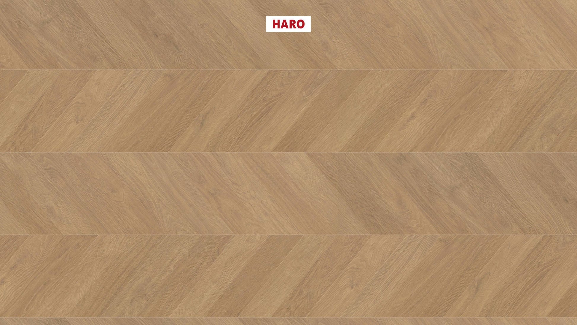 HARO Laminatboden TRITTY 200 Aqua Chevron 4VM Eiche Natur* authentic Lock Connect plus