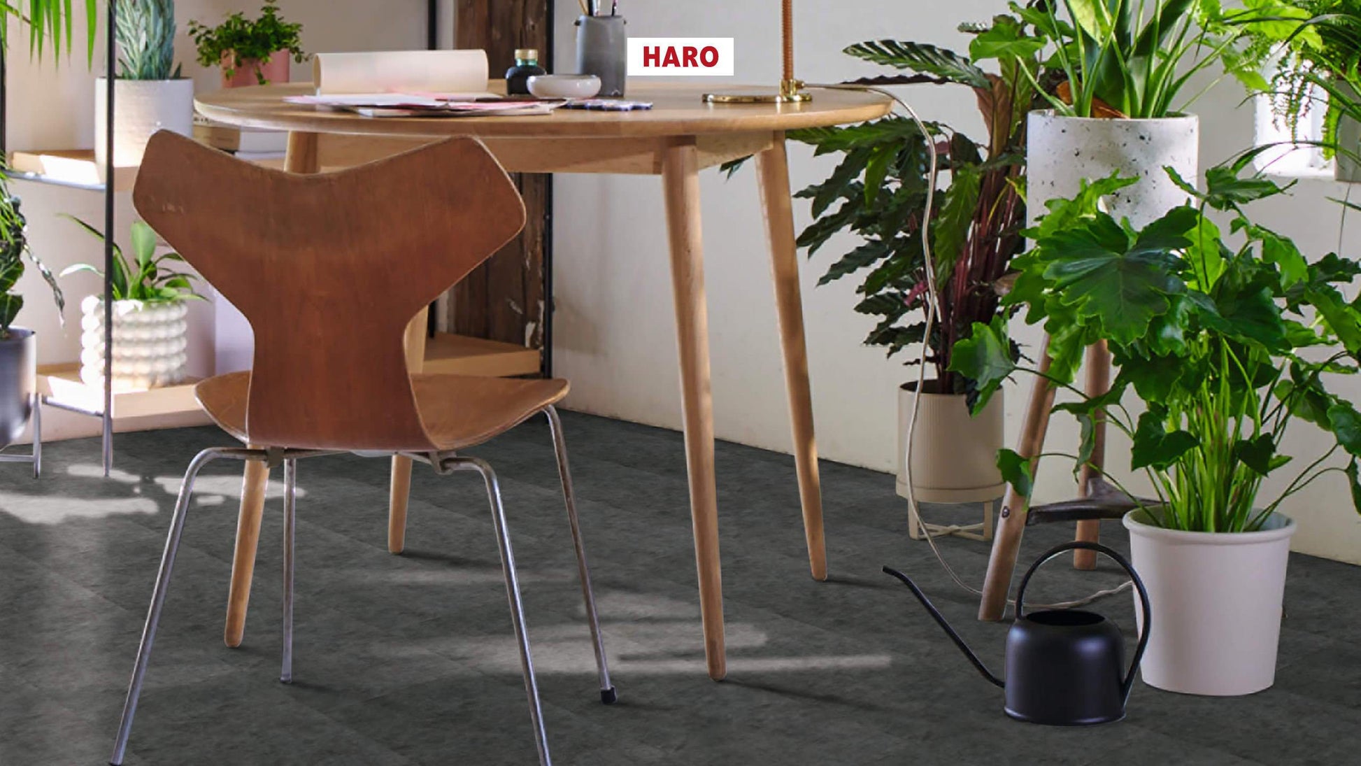 HARO Laminatboden TRITTY 200 Aqua Fliese Beton dunkel* Steinstruktur pore Lock Connect plus