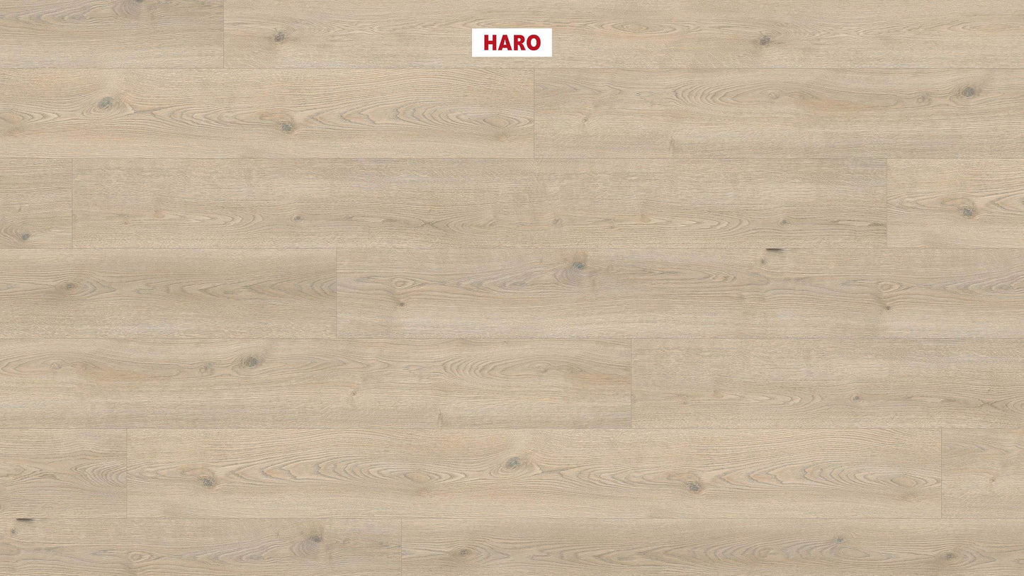 HARO Laminatboden TRITTY 200 Aqua Gran Via 4V Eiche Contura steingrau* authentic Silent CT Top Connect