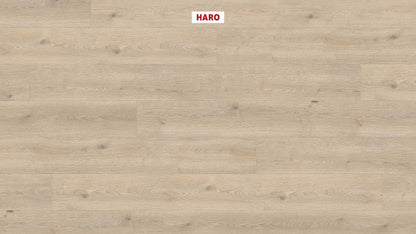 HARO Laminatboden TRITTY 200 Aqua Gran Via 4V Eiche Contura steingrau* authentic Silent CT Top Connect