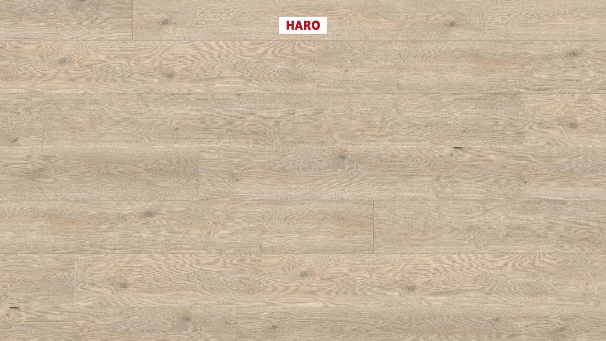 HARO Laminatboden TRITTY 200 Aqua Gran Via 4V Eiche Contura steingrau* authentic Silent Pro Top Connect