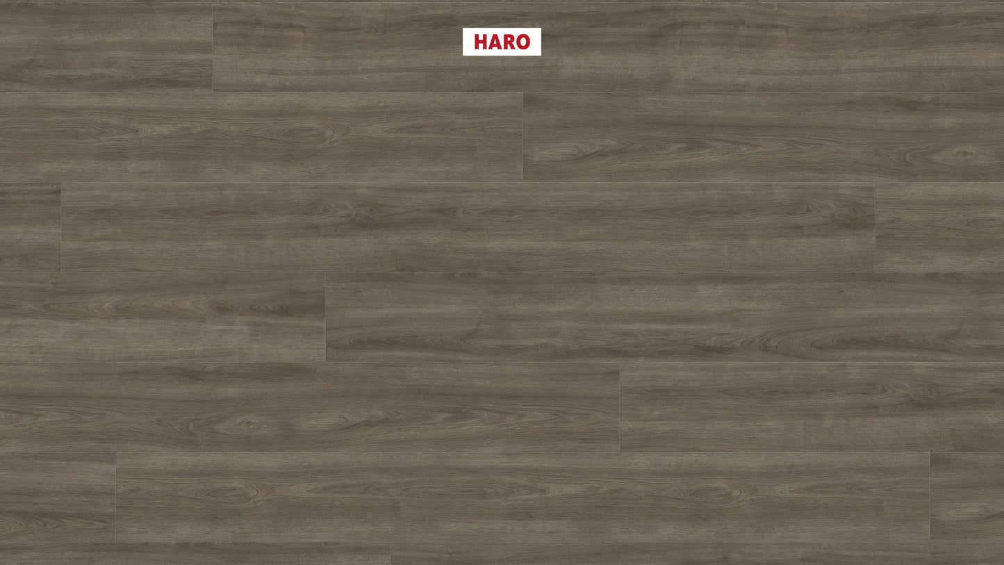 HARO Laminatboden TRITTY 200 Aqua Gran Via 4V Eiche Eleganza antikgrau* authentic Silent CT Top Connect
