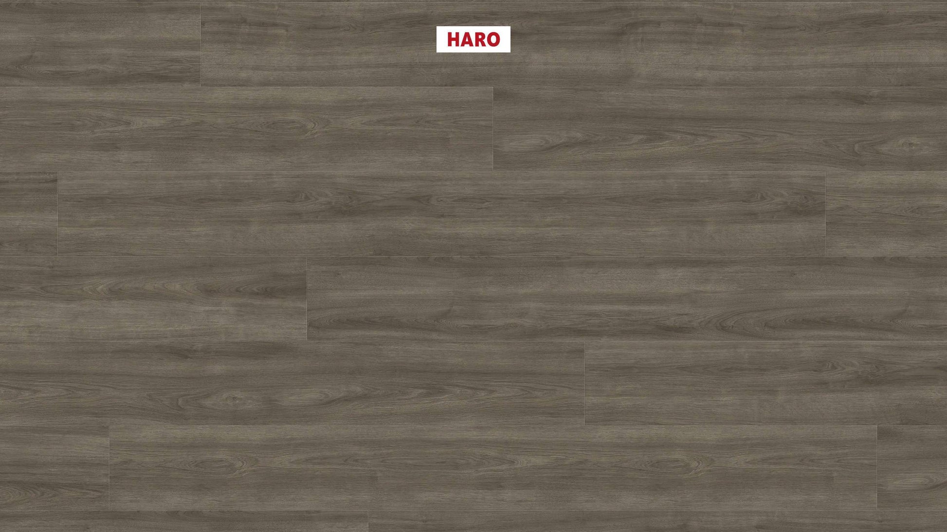 HARO Laminatboden TRITTY 200 Aqua Gran Via 4V Eiche Eleganza antikgrau* authentic Silent CT Top Connect