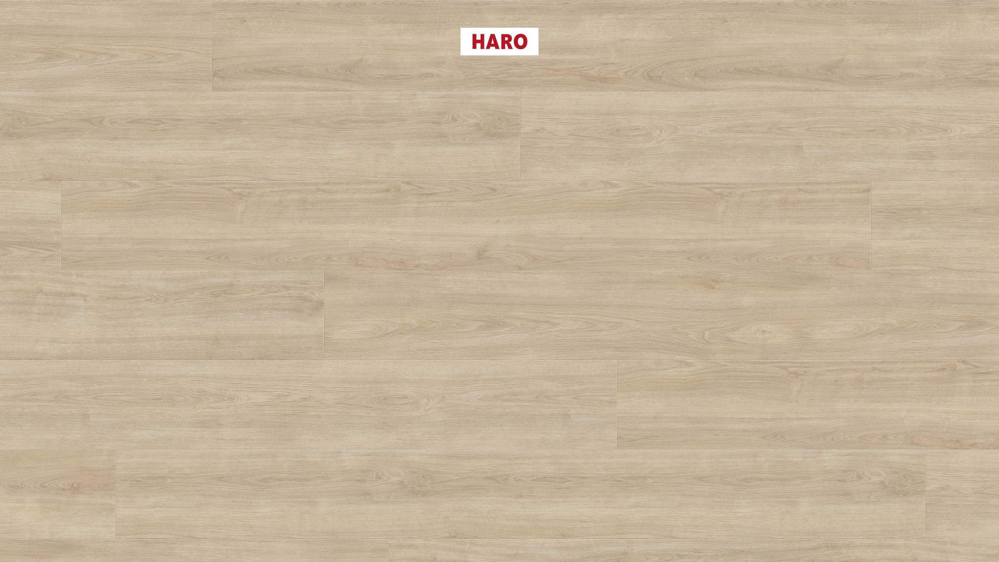 HARO Laminatboden TRITTY 200 Aqua Gran Via 4V Eiche Eleganza cremeweiß* authentic Silent CT Top Connect