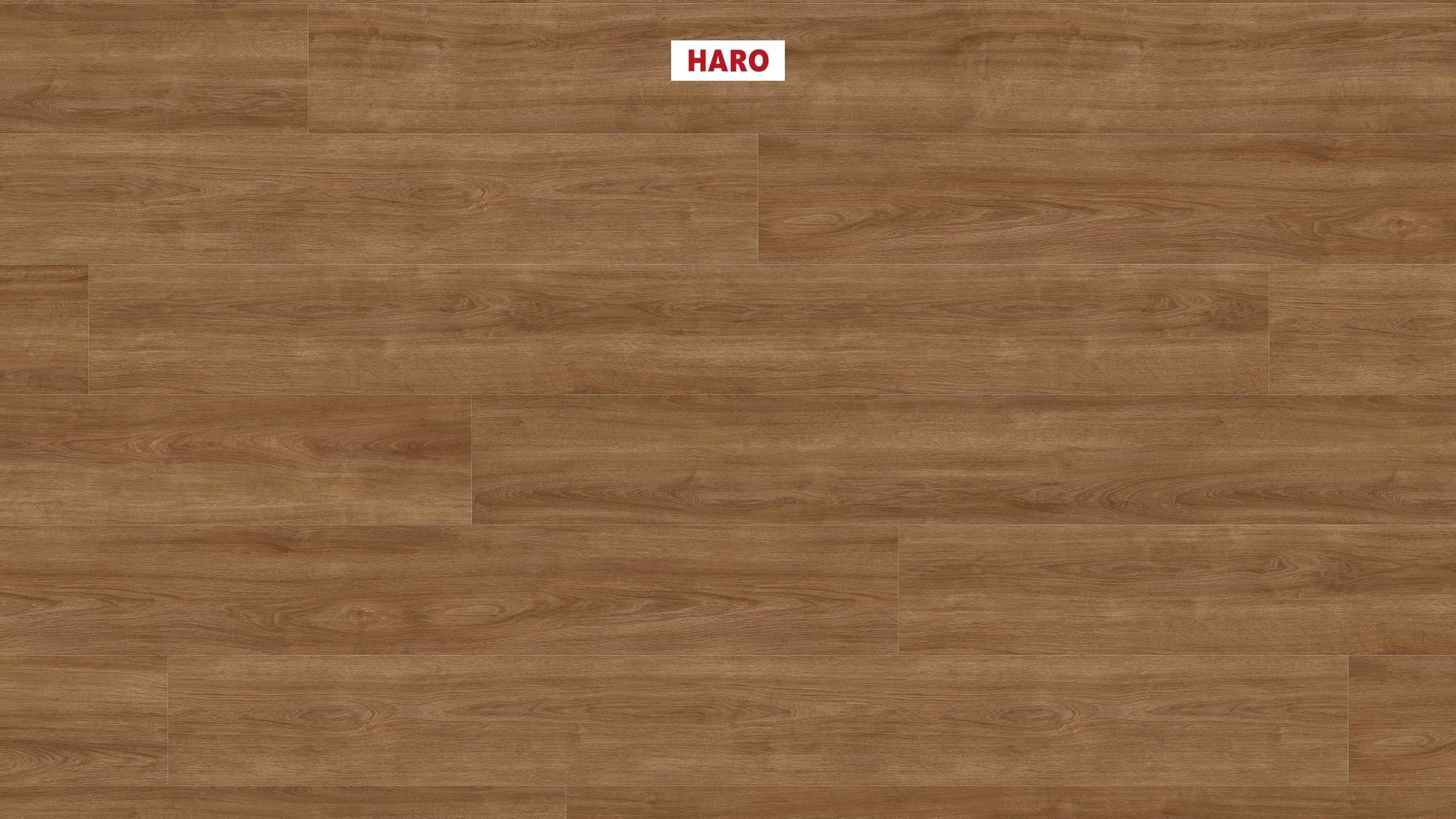 HARO Laminatboden TRITTY 200 Aqua Gran Via 4V Eiche Eleganza natur* authentic Top Connect