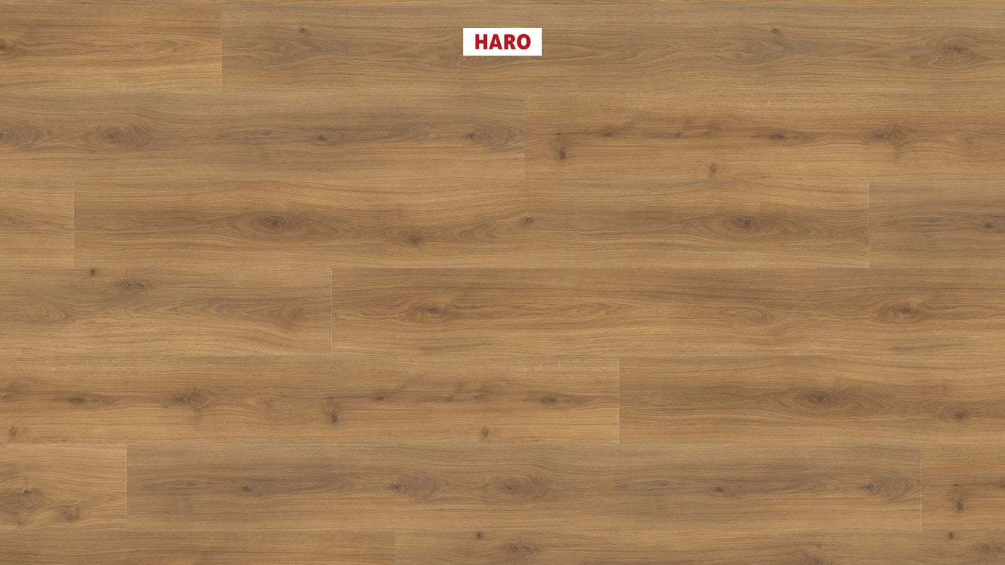 HARO Laminatboden TRITTY 200 Aqua Gran Via 4V Eiche Emilia Honig* authentic soft Silent CT Top Connect