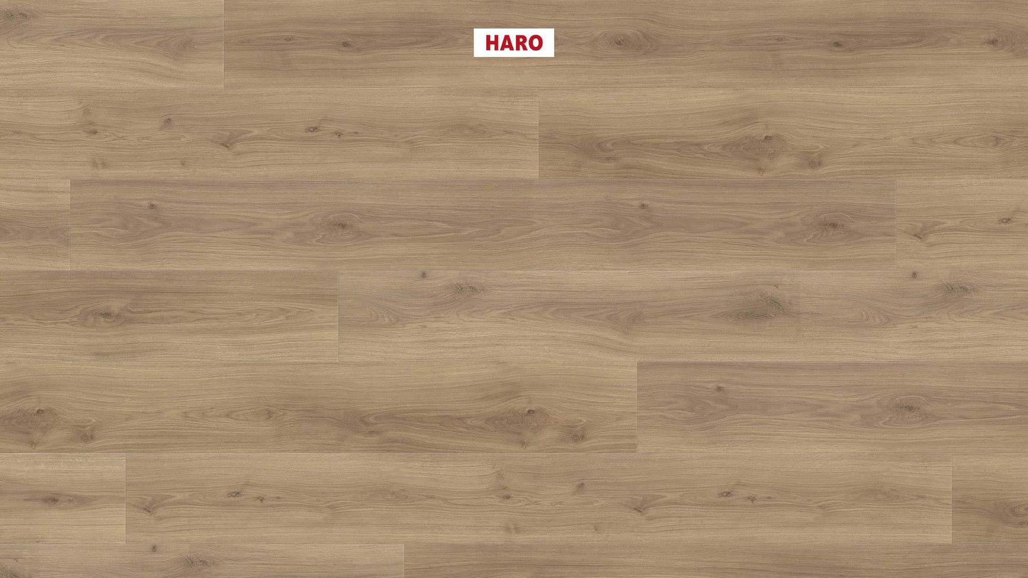 HARO Laminatboden TRITTY 200 Aqua Gran Via 4V Eiche Emilia puro* authentic soft Silent CT Top Connect