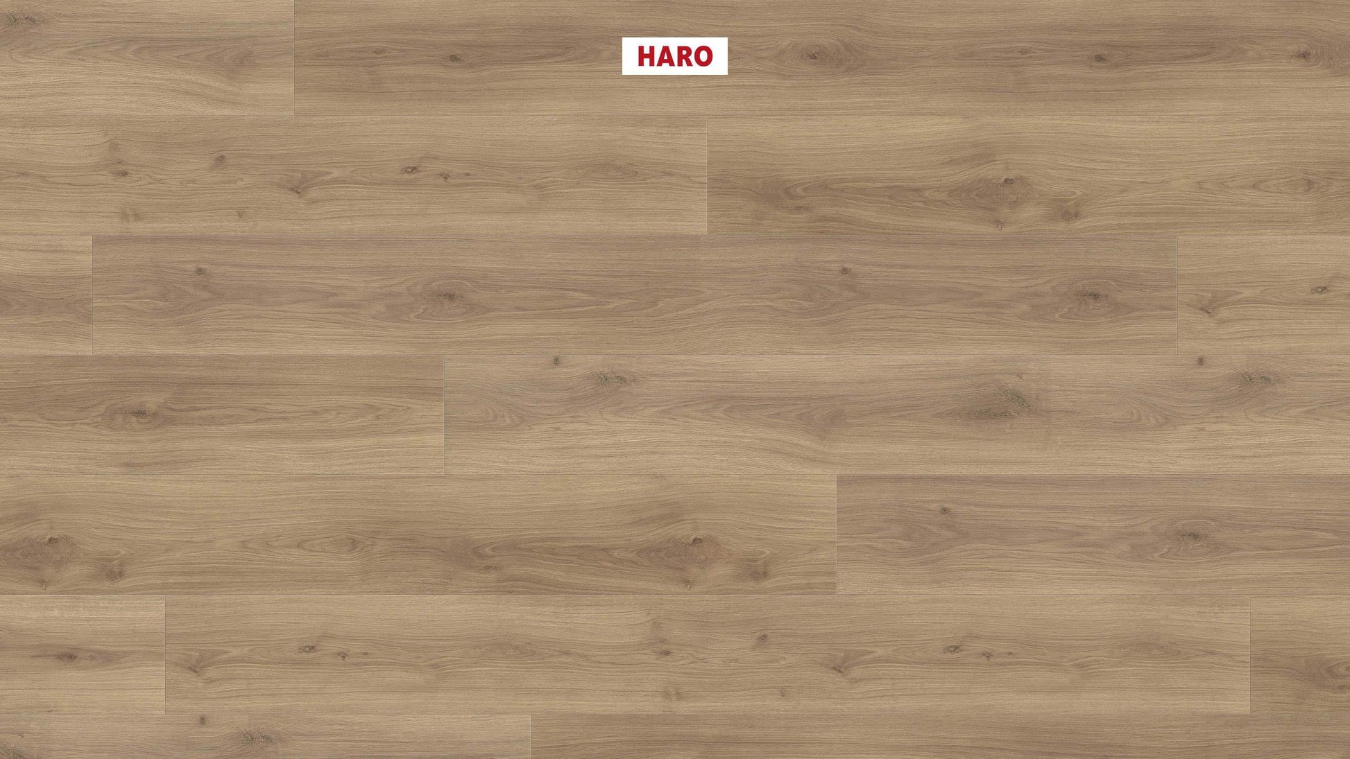 HARO Laminatboden TRITTY 200 Aqua Gran Via 4V Eiche Emilia puro* authentic soft Silent CT Top Connect