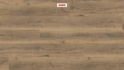 HARO Laminatboden TRITTY 200 Aqua Gran Via 4V Eiche Metallic natur* authentic Silent CT Top Connect