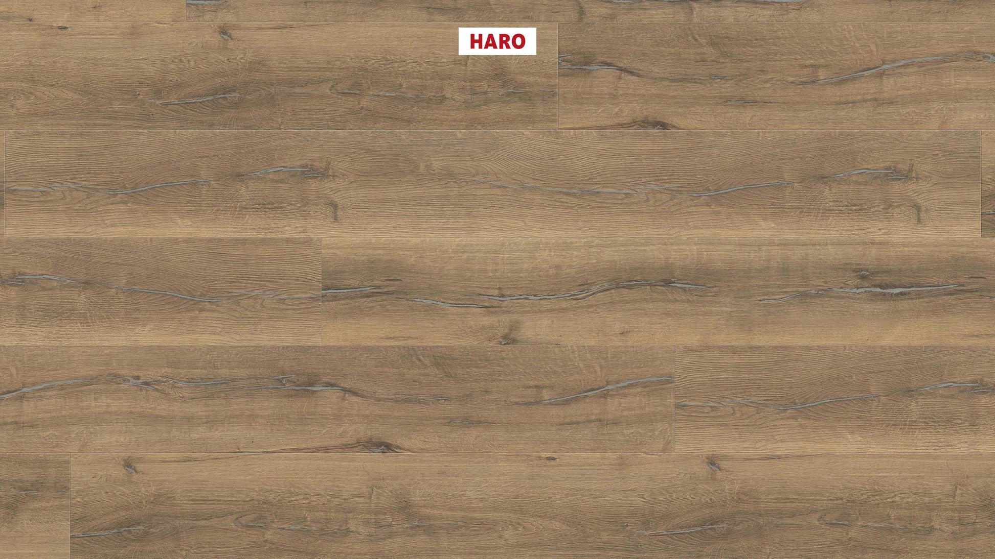 HARO Laminatboden TRITTY 200 Aqua Gran Via 4V Eiche Metallic natur* authentic Top Connect