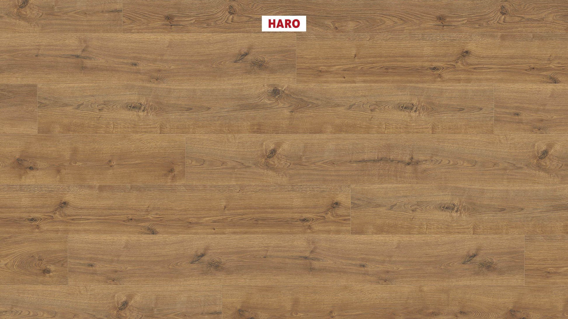 HARO Laminatboden TRITTY 200 Aqua Gran Via 4V Eiche Portland natur* authentic Top Connect