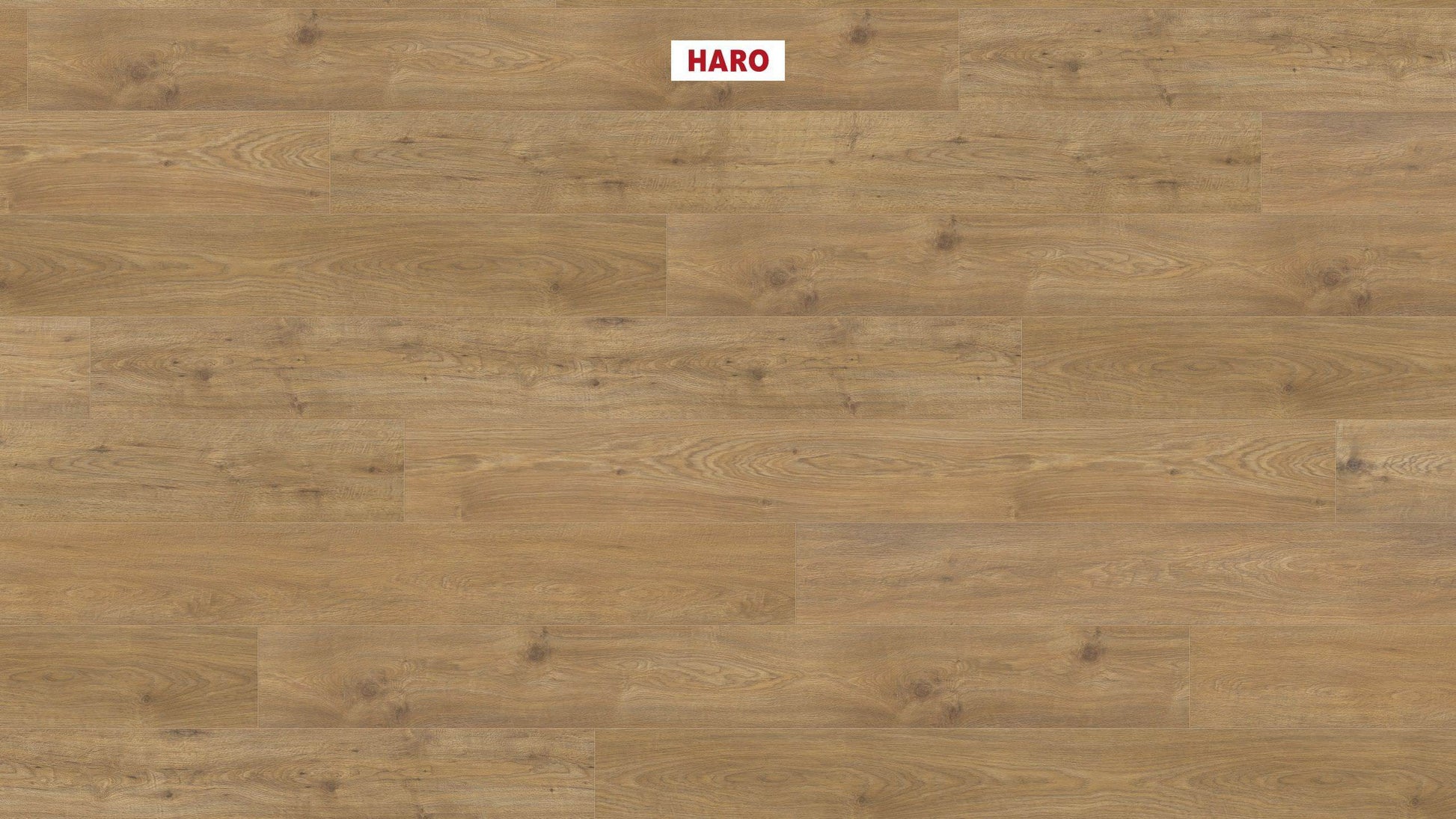 HARO Laminatboden TRITTY 200 Aqua Gran Via 4V Eiche Sicilia natur* authentic matt Silent Pro Top Connect