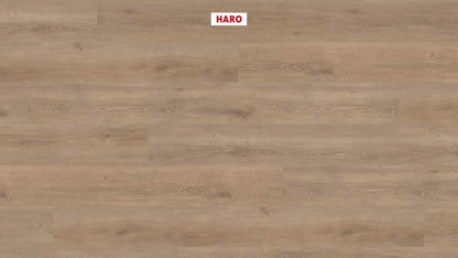 HARO Laminatboden TRITTY 200 Aqua Gran Via 4V Eiche Veneto crema* authentic matt Silent Pro Top Connect