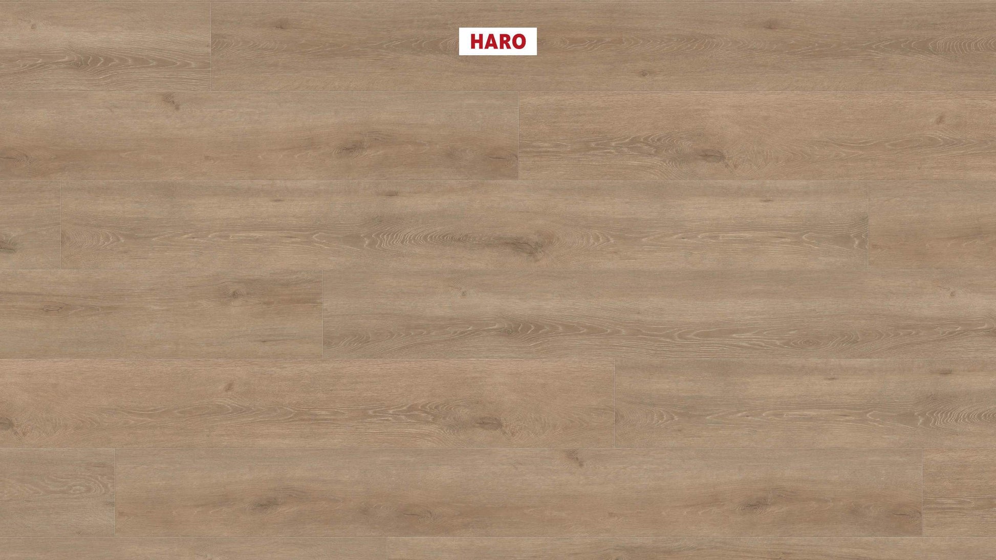 HARO Laminatboden TRITTY 200 Aqua Gran Via 4V Eiche Veneto crema* authentic matt Top Connect