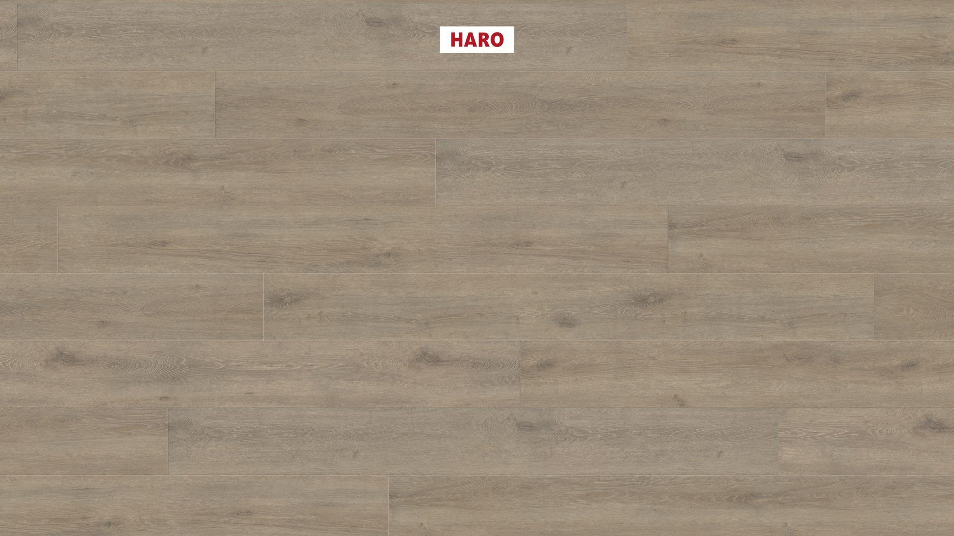 HARO Laminatboden TRITTY 200 Aqua Gran Via 4V Eiche Veneto mocca* authentic matt Silent Pro Top Connect