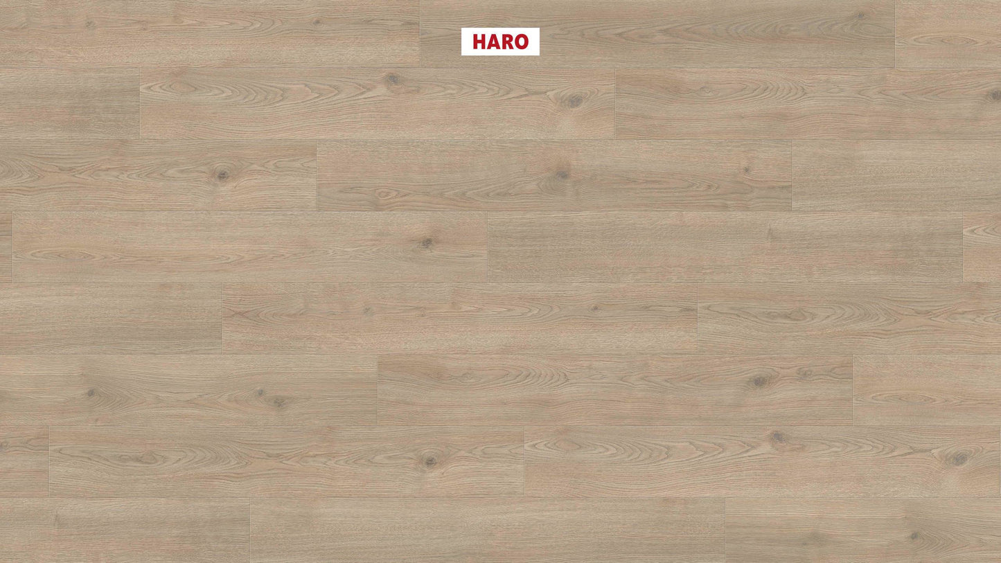 HARO Laminatboden TRITTY 200 Aqua Landhausdiele 4V Eiche Contura steingrau* authentic Silent CT Top Connect