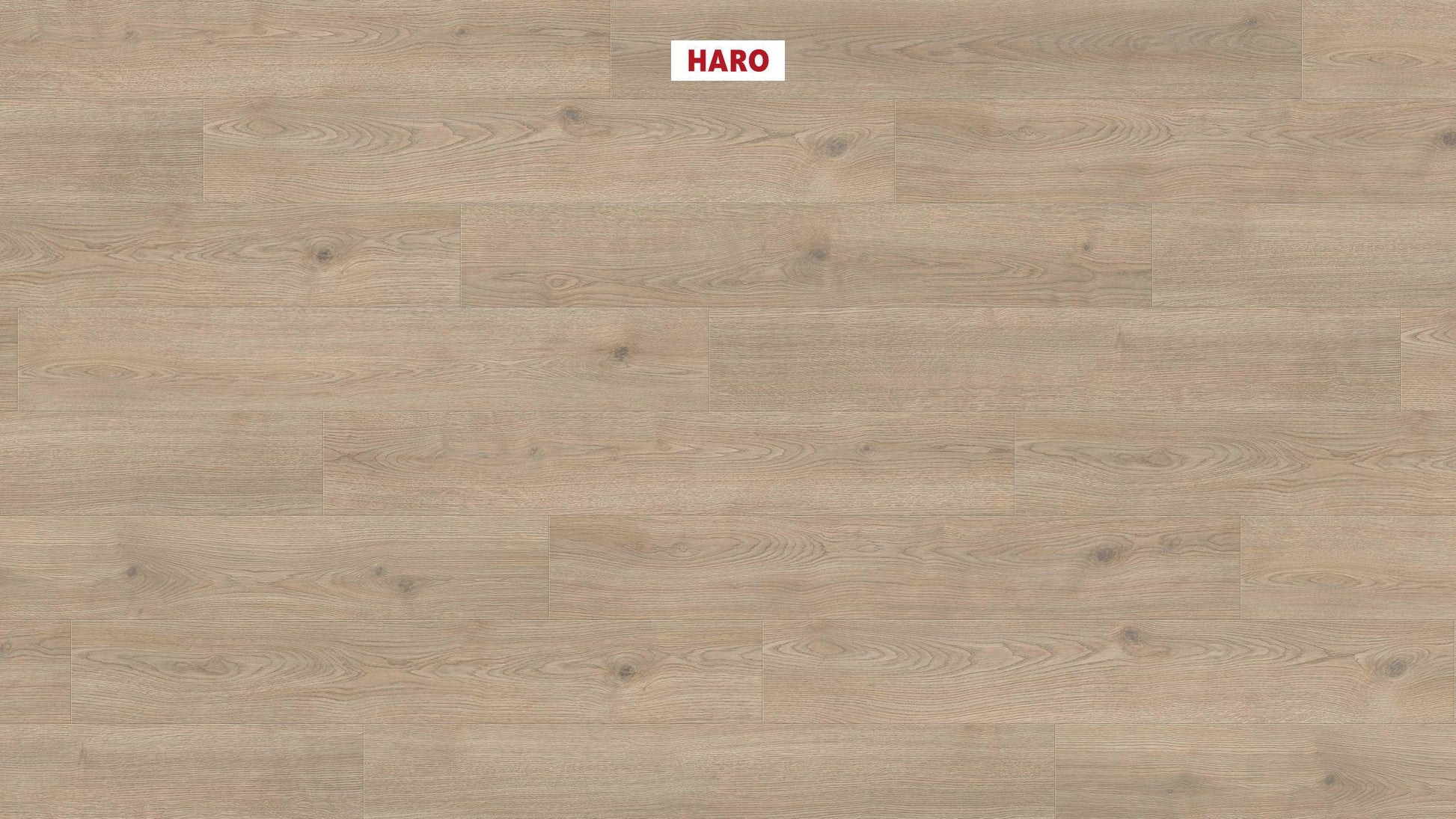 HARO Laminatboden TRITTY 200 Aqua Landhausdiele 4V Eiche Contura steingrau* authentic Silent Pro Top Connect