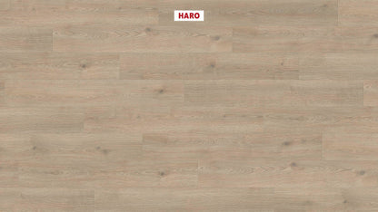 HARO Laminatboden TRITTY 200 Aqua Landhausdiele 4V Eiche Contura steingrau* authentic Silent Pro Top Connect
