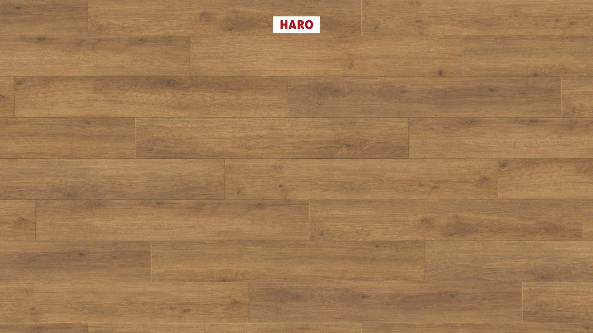 HARO Laminatboden TRITTY 200 Aqua Landhausdiele 4V Eiche Emilia Honig* authentic soft Silent CT Top Connect
