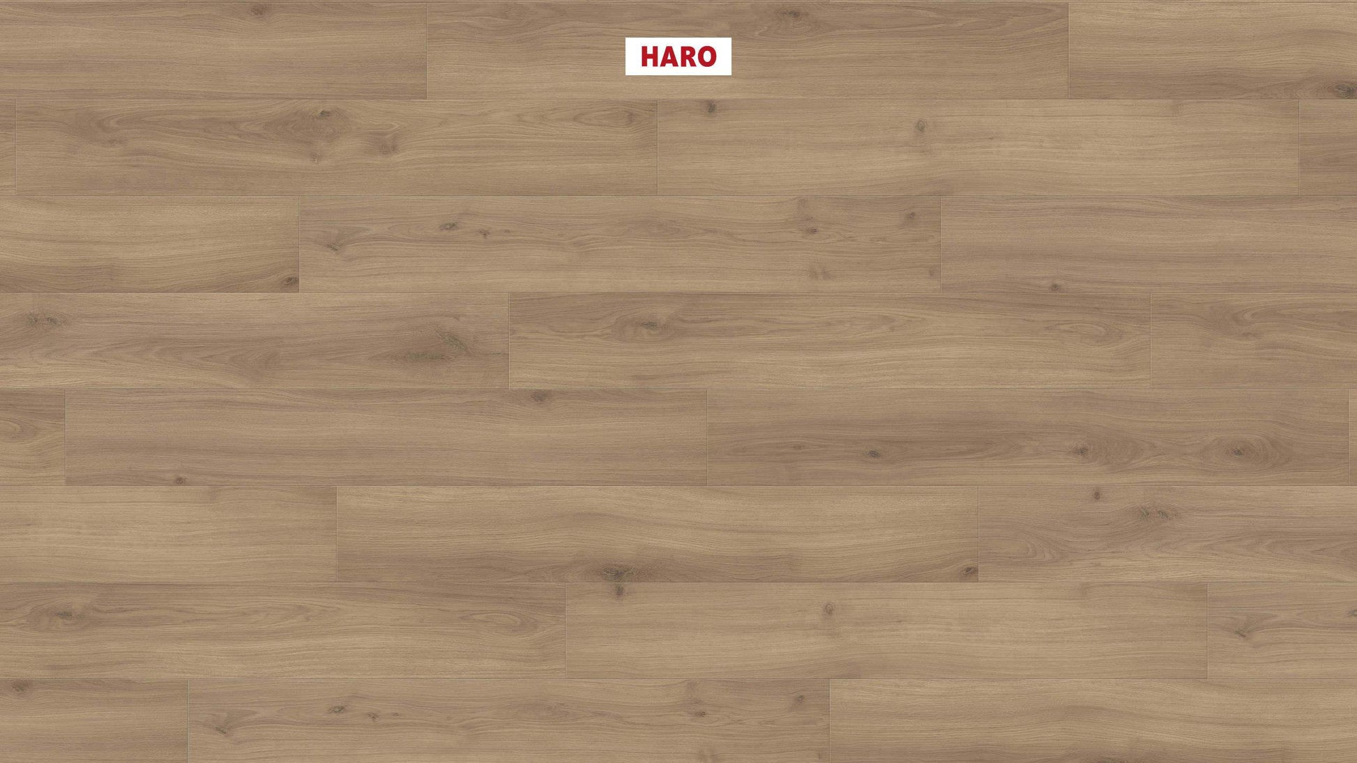 HARO Laminatboden TRITTY 200 Aqua Landhausdiele 4V Eiche Emilia puro* authentic soft Silent Pro Top Connect