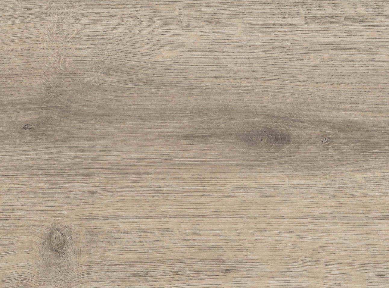HARO Laminatboden TRITTY 200 Aqua Landhausdiele 4V Eiche Emilia samtgrau* authentic soft Silent CT Top Connect
