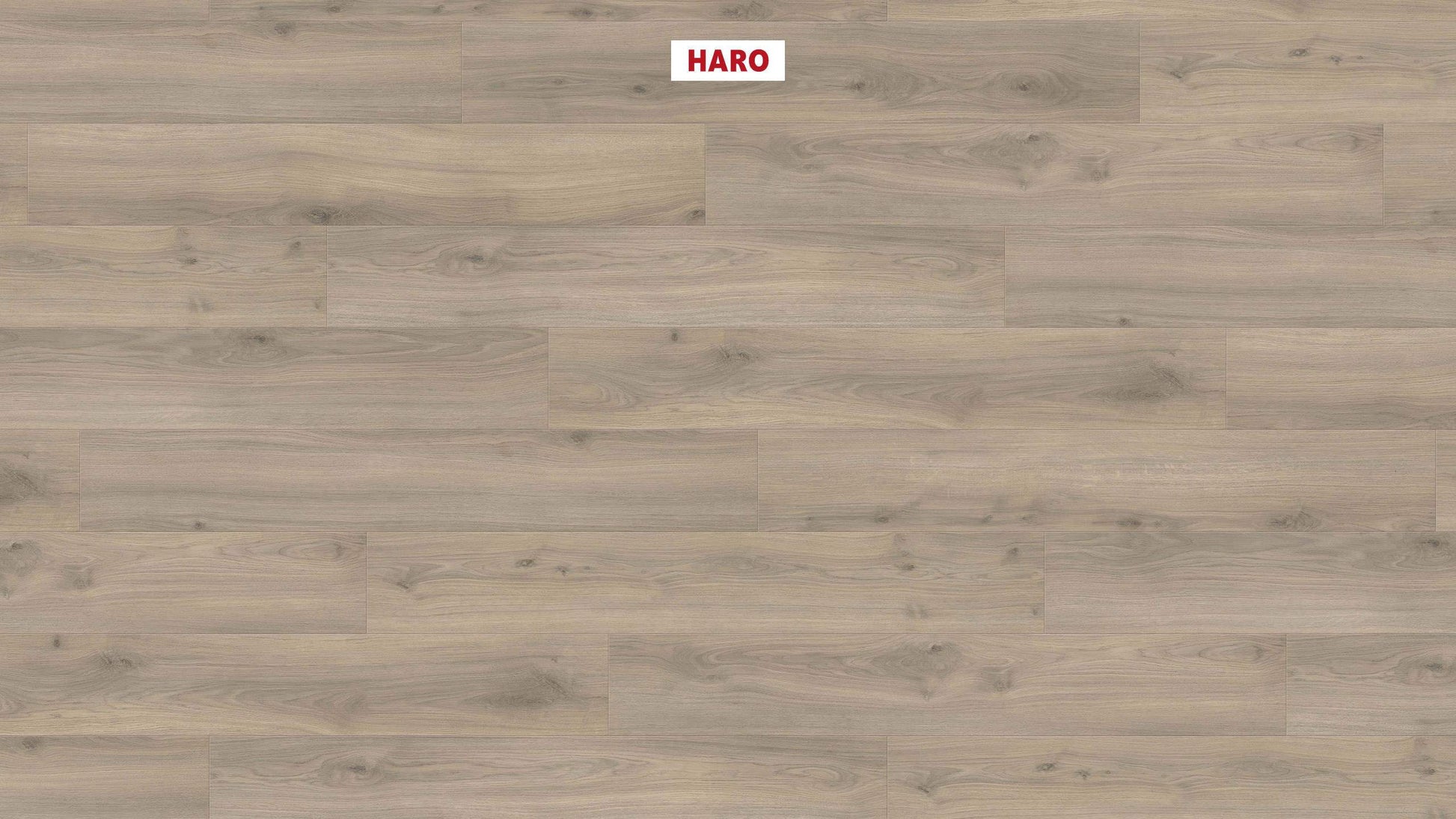 HARO Laminatboden TRITTY 200 Aqua Landhausdiele 4V Eiche Emilia samtgrau* authentic soft Silent CT Top Connect