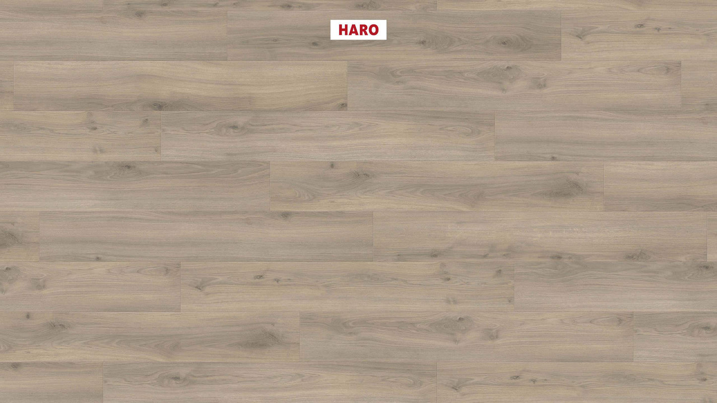 HARO Laminatboden TRITTY 200 Aqua Landhausdiele 4V Eiche Emilia samtgrau* authentic soft Silent Pro Top Connect