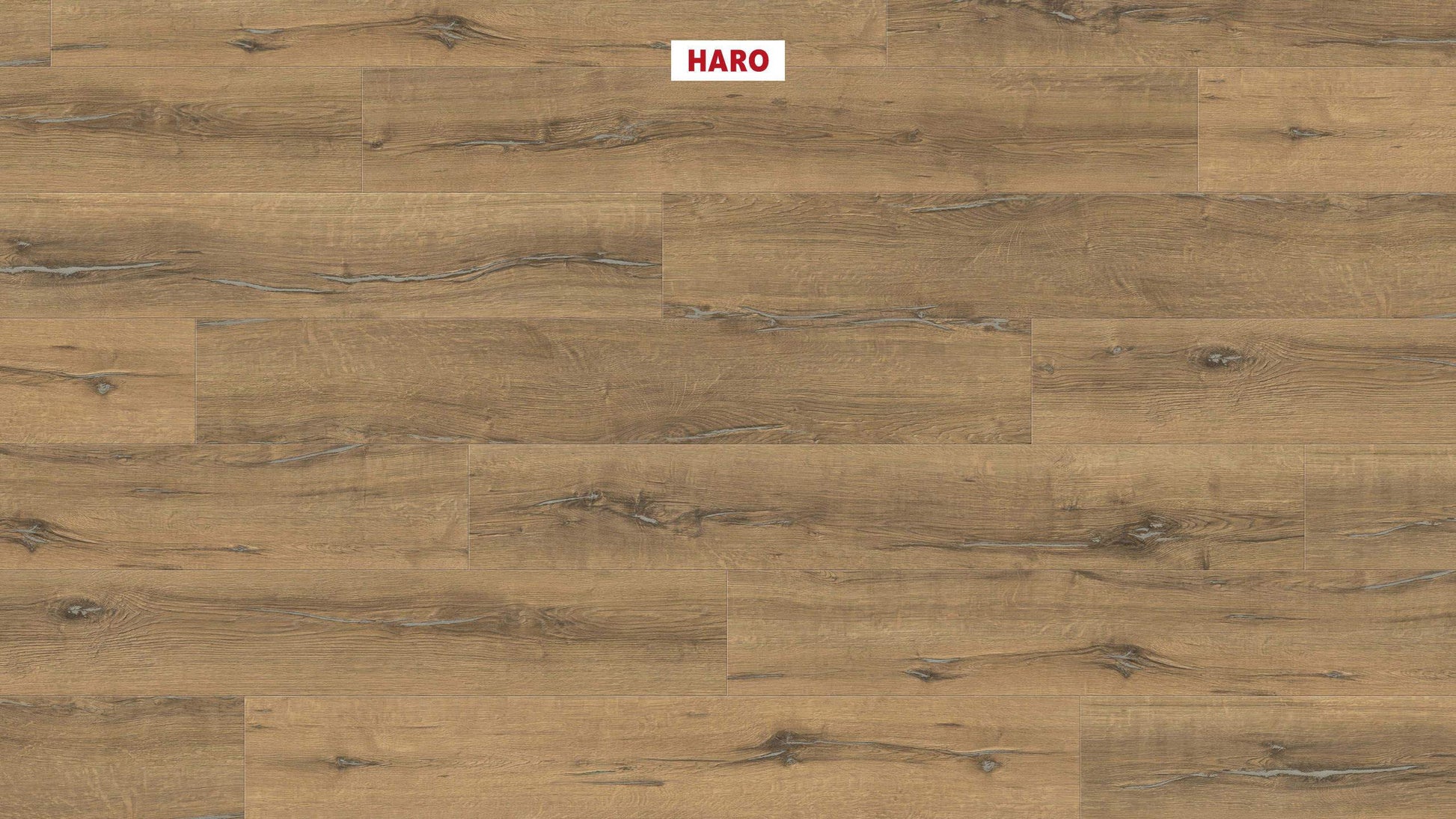 HARO Laminatboden TRITTY 200 Aqua Landhausdiele 4V Eiche Metallic natur* authentic Silent CT Top Connect
