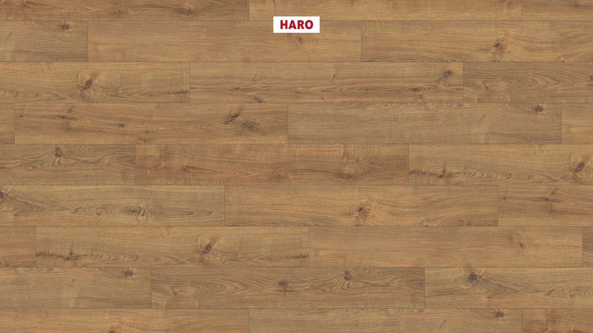 HARO Laminatboden TRITTY 200 Aqua Landhausdiele 4V Eiche Portland natur* authentic Silent Pro Top Connect