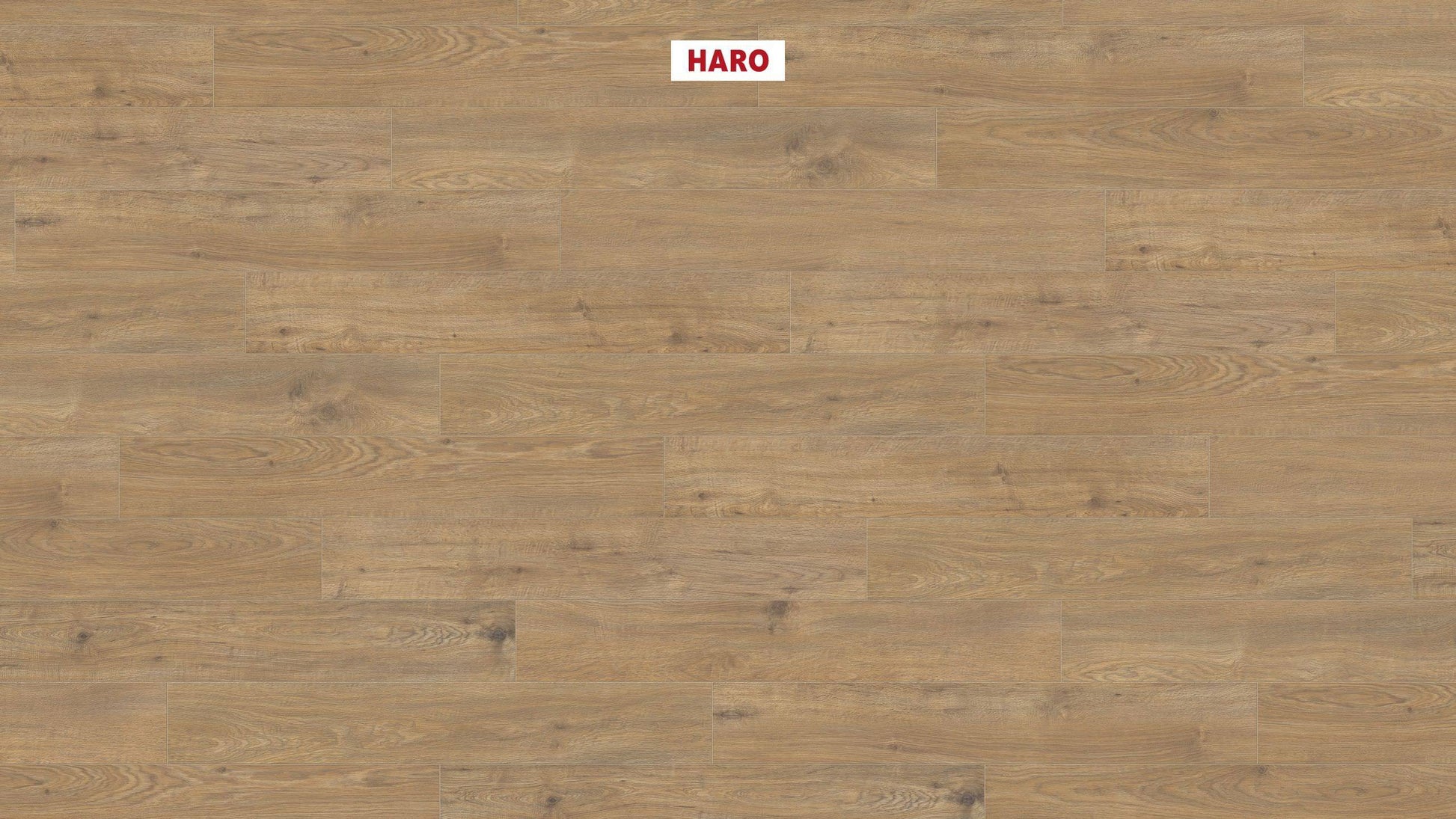 HARO Laminatboden TRITTY 200 Aqua Landhausdiele 4V Eiche Sicilia natur* authentic matt Silent CT Top Connect