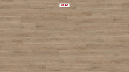 HARO Laminatboden TRITTY 200 Aqua Landhausdiele 4V Eiche Veneto crema* authentic matt Silent CT Top Connect