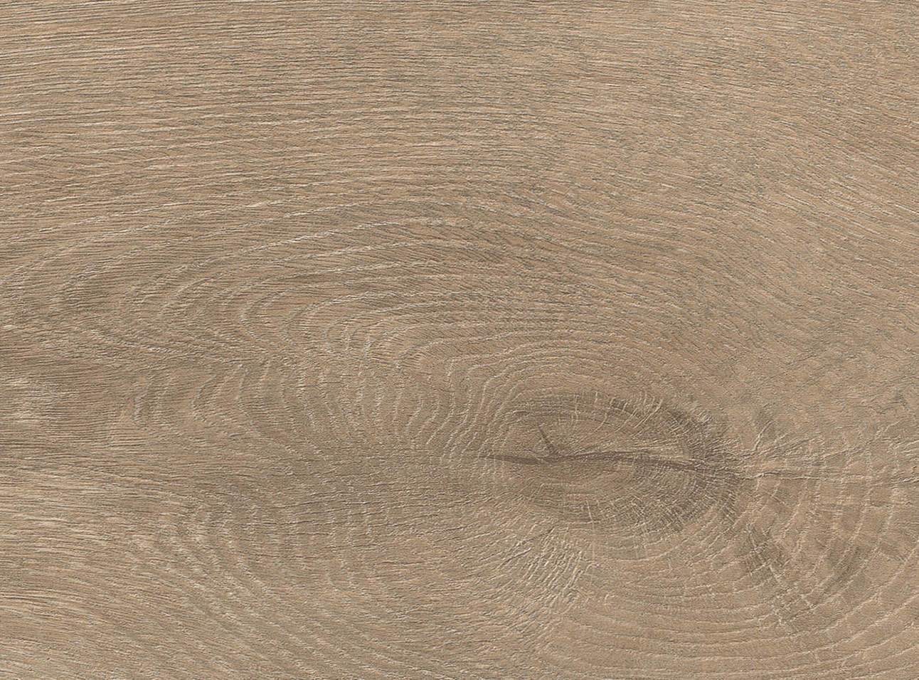 HARO Laminatboden TRITTY 200 Aqua Landhausdiele 4V Eiche Veneto crema* authentic matt Top Connect