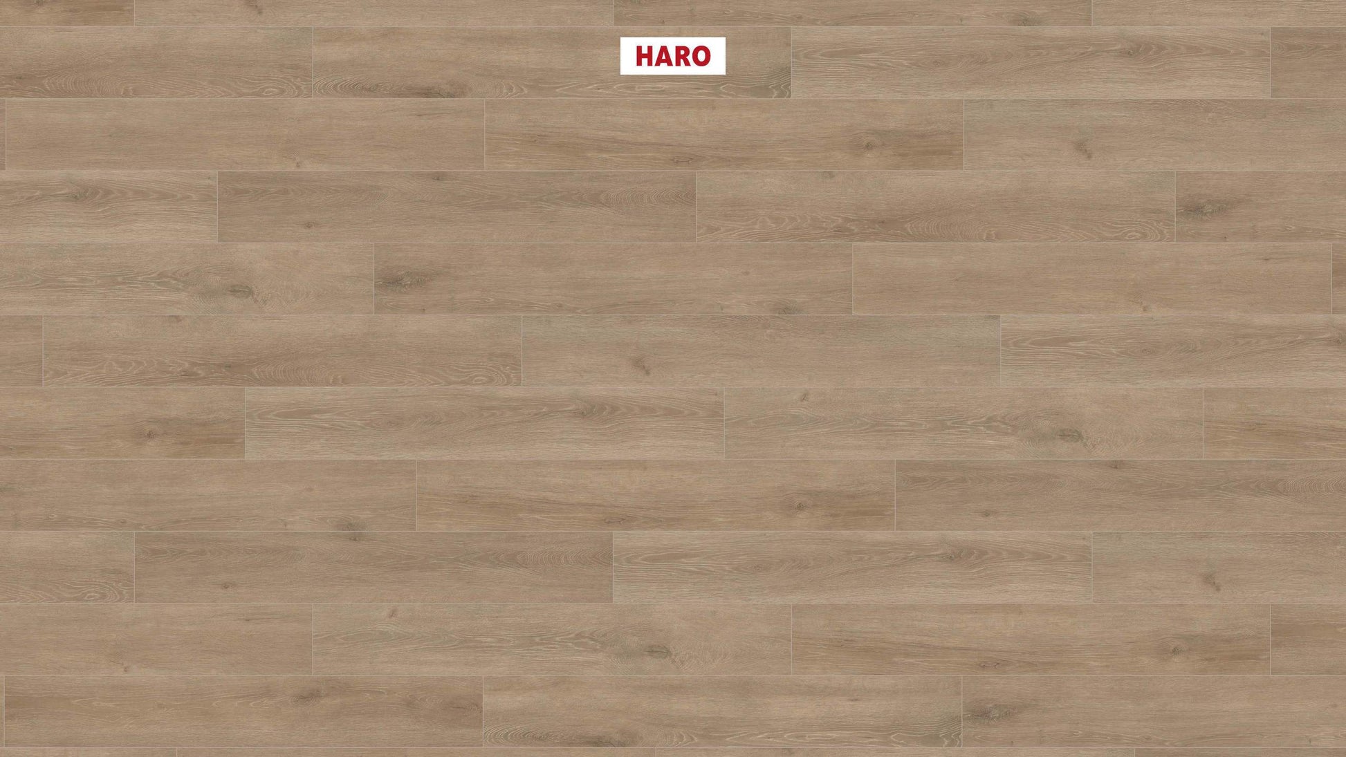 HARO Laminatboden TRITTY 200 Aqua Landhausdiele 4V Eiche Veneto crema* authentic matt Top Connect