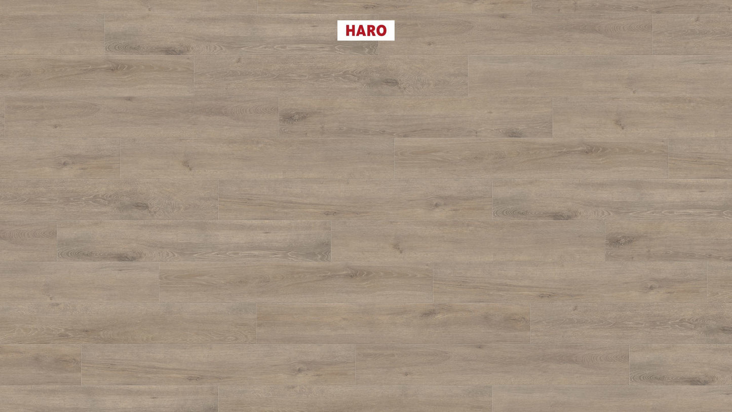 HARO Laminatboden TRITTY 200 Aqua Landhausdiele 4V Eiche Veneto mocca* authentic matt Silent CT Top Connect