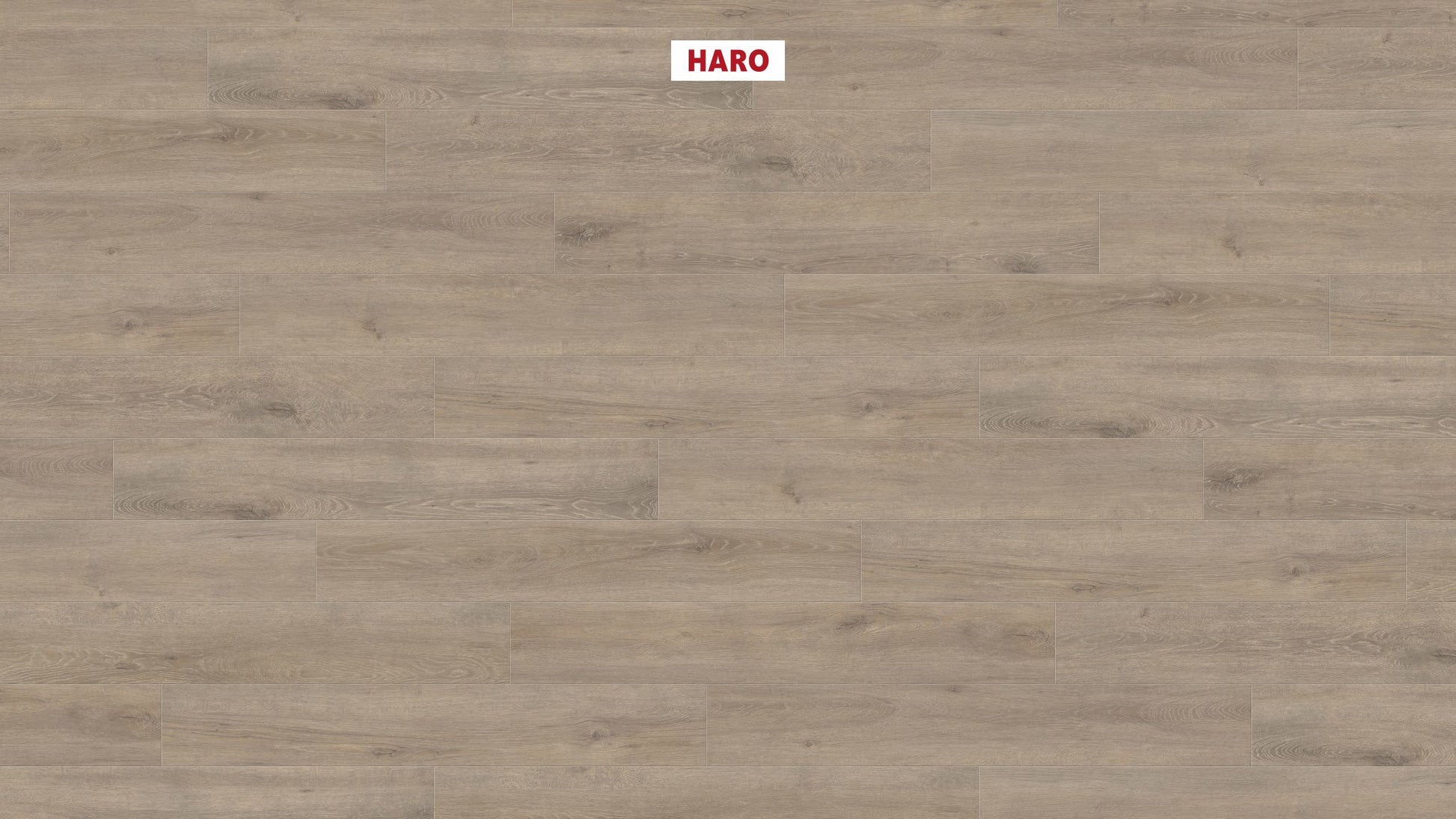 HARO Laminatboden TRITTY 200 Aqua Landhausdiele 4V Eiche Veneto mocca* authentic matt Top Connect